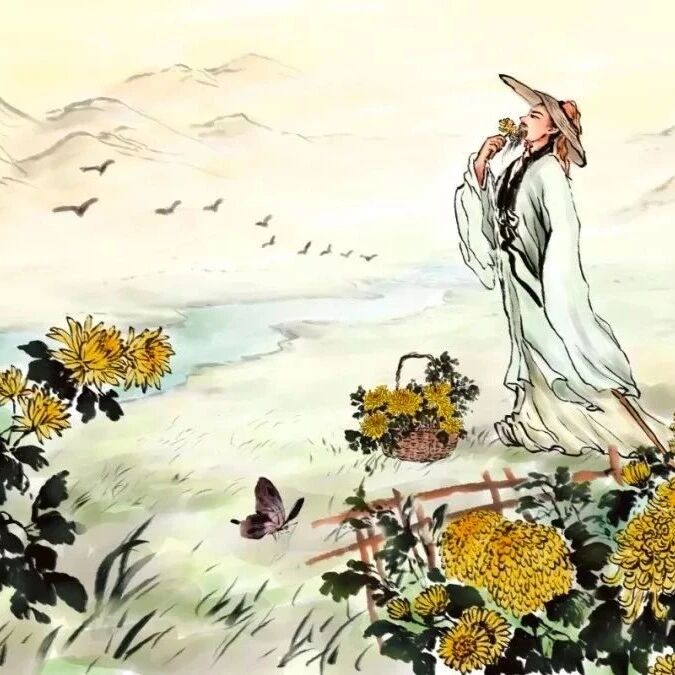 客户端请求的端口号是什么？