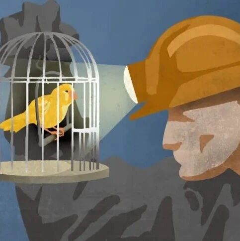 灰度发布、蓝绿部署、金丝雀都是啥？