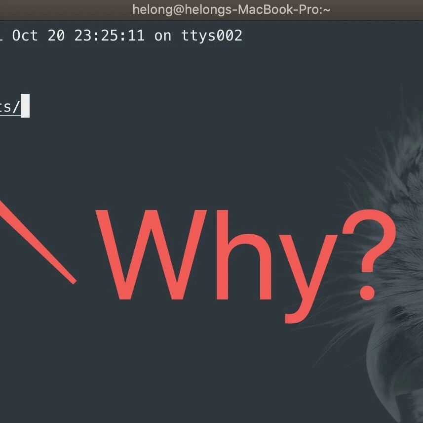 为什么 ~ 代表 macOS 和 Linux 上的主文件夹？