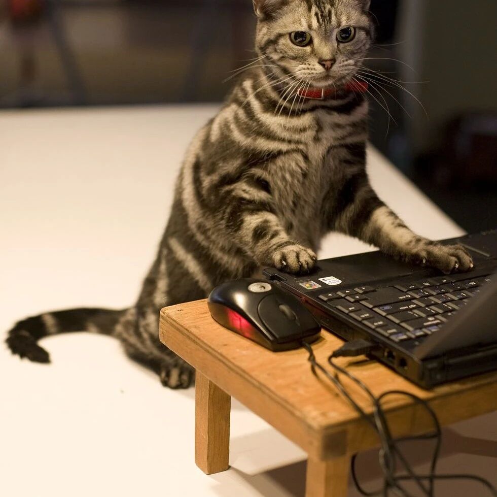 过去 66 年的 66 项最佳年度发明