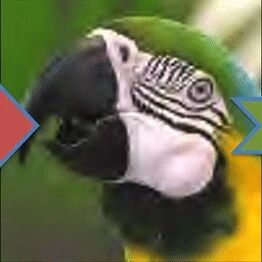 无损图像格式比较：PNG、WebP、AVIF 和 JPEG XL