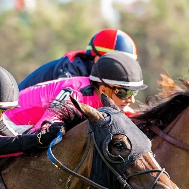 RAG的2024—随需而变，从狂热到理性（上）